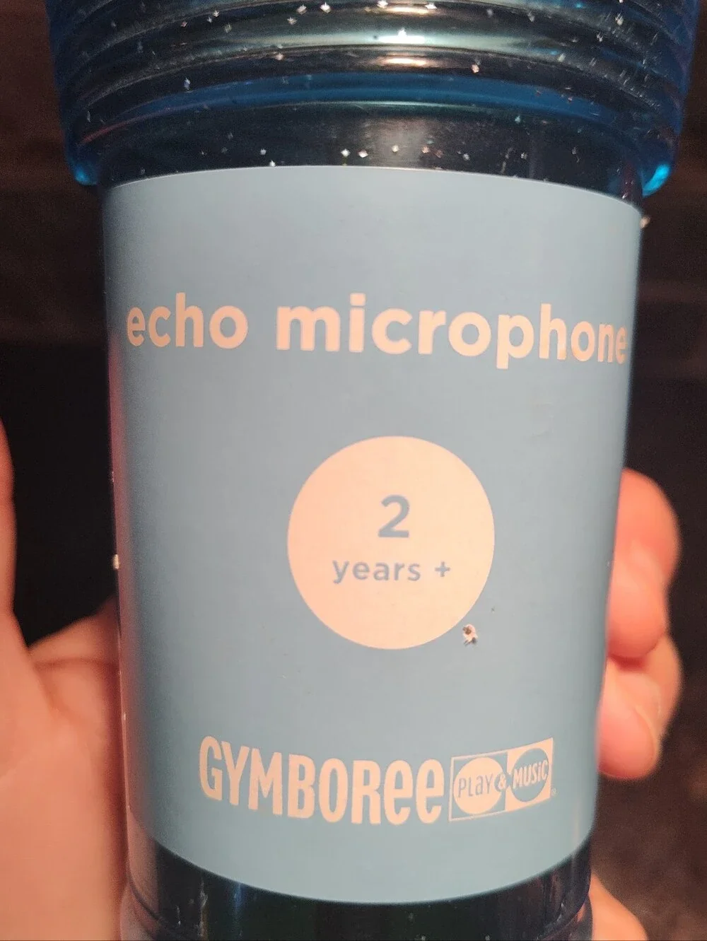 Gymboree Echo Microphone Toy, Green And Blue Glitter
